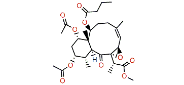 Briareolate ester E